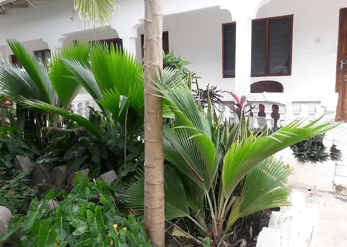 Ebony & Ivory Bungalows
